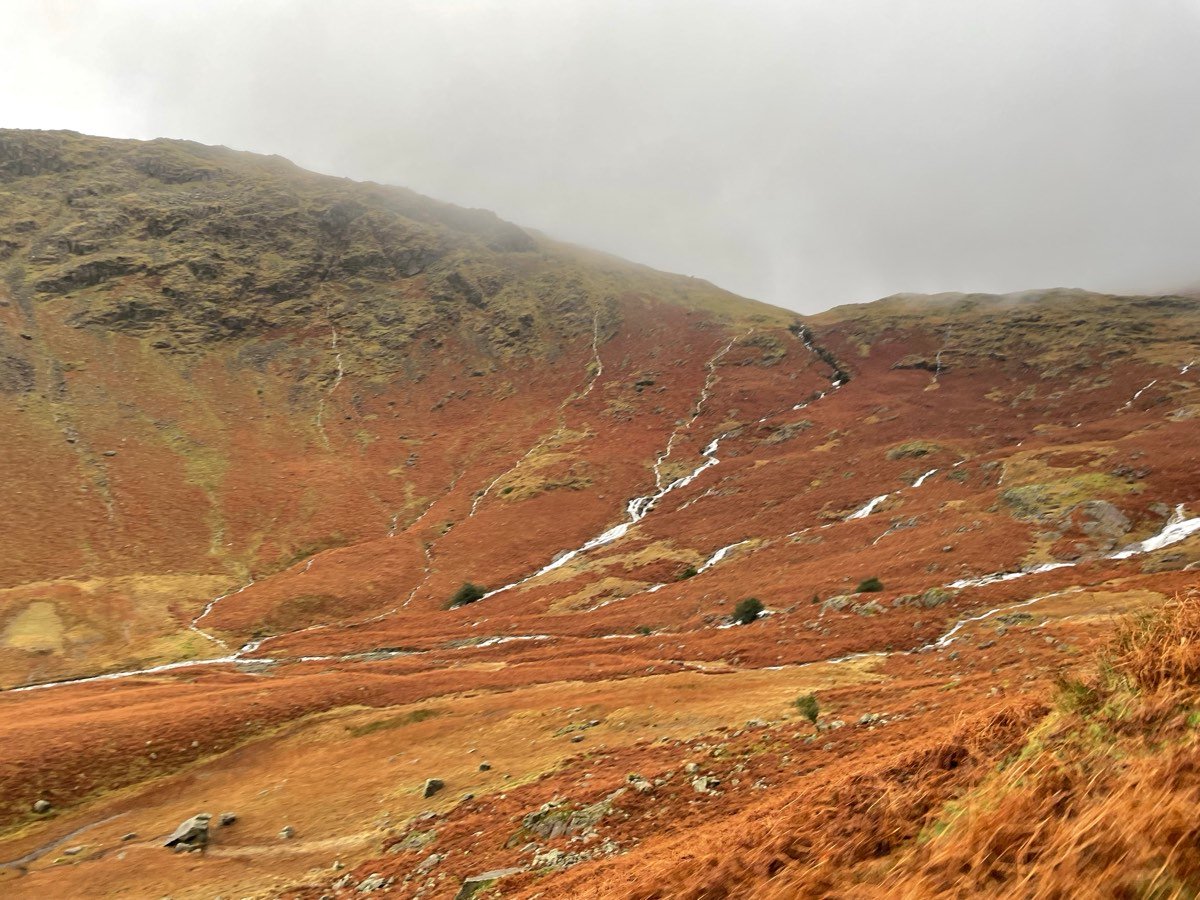 A steep hillside of rust-orange bracken under low cloud, with streams running down it.