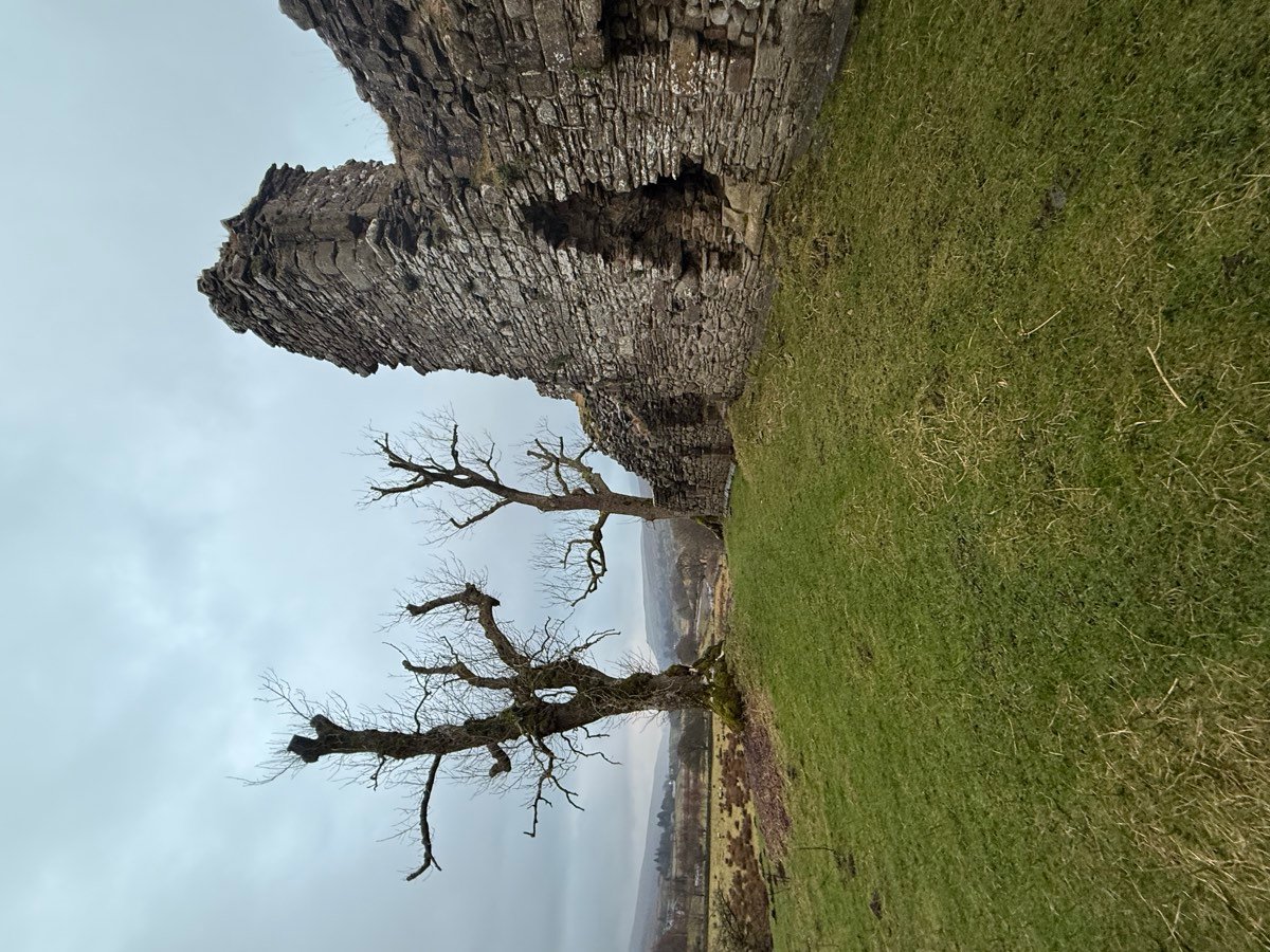 The weathered stone towers of a ruined castle against a pale grey sky, with bare trees beside them.