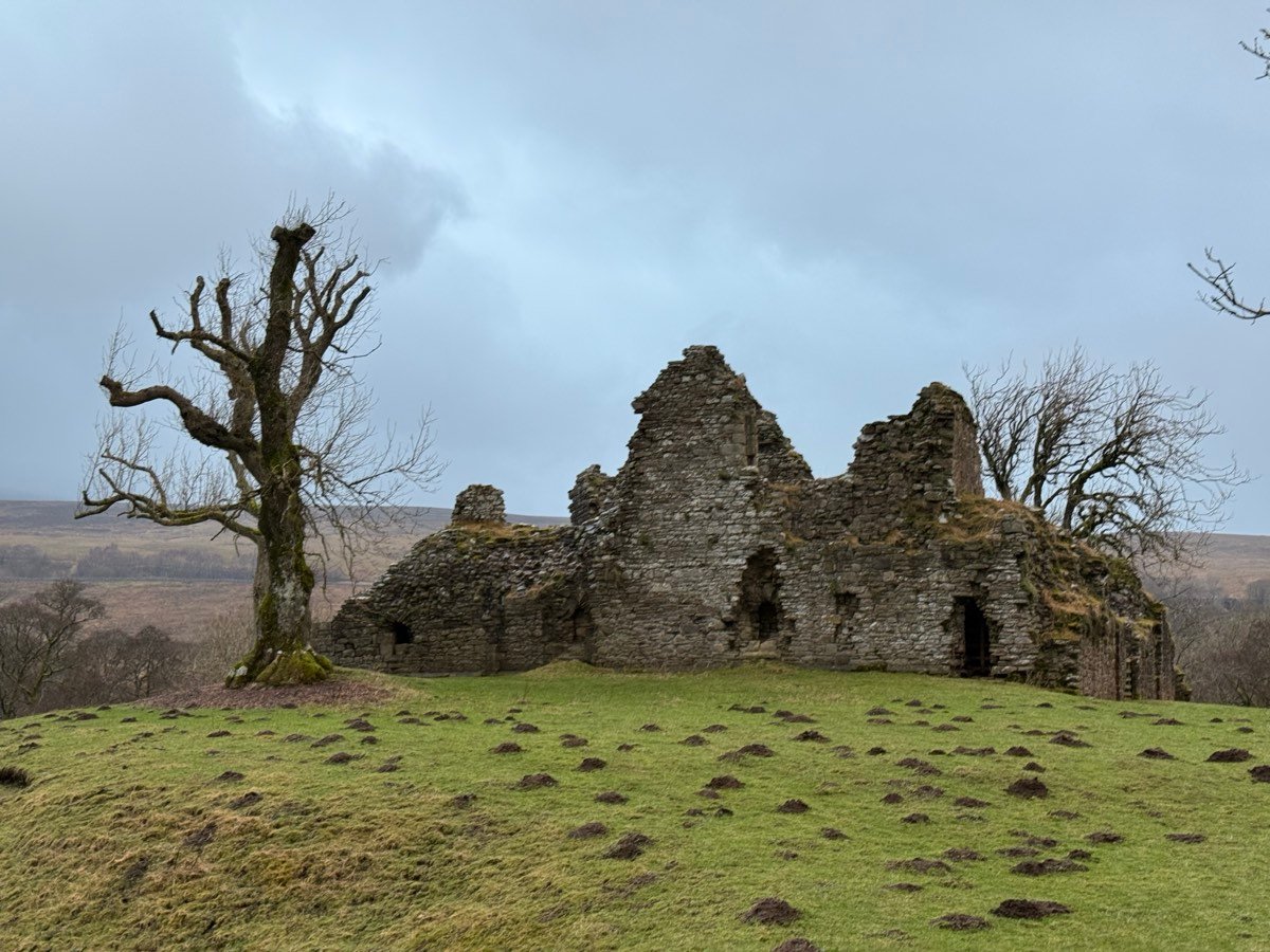 The ruins of a stone castle on a green mound, with a bare old tree and bare branches against a grey sky.