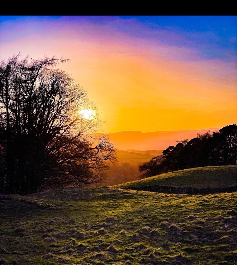The low sun glowing behind bare trees above a hazy orange valley, with a dry-stone wall and rolling pasture in the foreground.