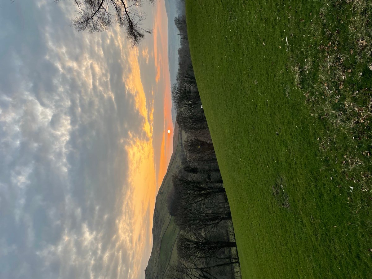 An orange and grey sunset sky over distant hills, with the branches of a tree at the right edge.